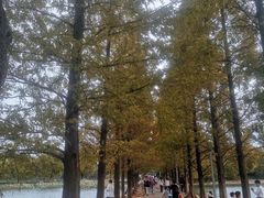 -食膳公园包子铺(烈士公园店)