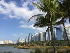 -万绿园