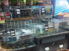 -丁哥·庐味鲜 土菜·20年老字号(世纪阳光花园店)