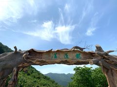 -龙道沟景区