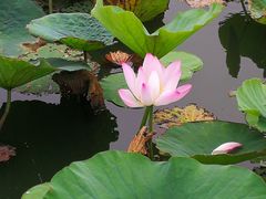 -天津东丽湖风景区