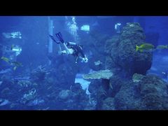 -成都浩海立方海洋公园