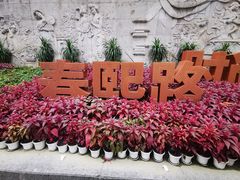 -春熙路步行街