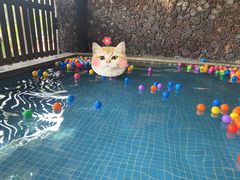 -广州锦绣香江度假别墅