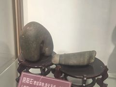 -武汉达临性学生命文化博物馆