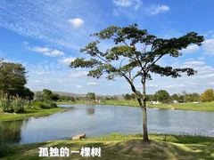 -上海辰山植物园