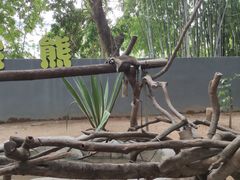 -深圳野生动物园