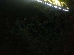 -北京西国贸大酒店