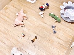 狗狗寄养房间-Double Rui宠物酒店