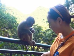 -黔灵山公园-南门售票处