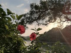 -广州市白云山风景名胜区