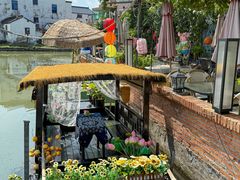 -水岸居湖景农家乐·阳澄湖大闸蟹