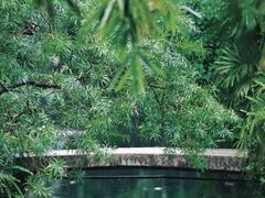 -广州兰圃