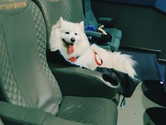 -幸福蓝海国际影城(崇安寺T12店)