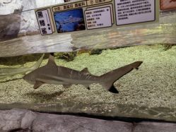 -Zoolung Zoolung动物主题公园(海信广场店)