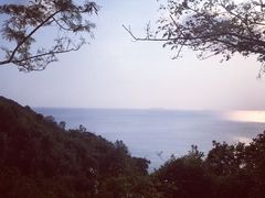-南丫岛