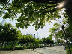 -重庆市江北嘴中央商务区中央公园