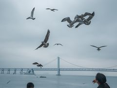 -星海广场