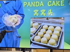 -都江堰中华大熊猫苑