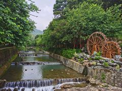 -广州白江湖森林公园