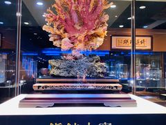 -绮丽珊瑚博物馆(台东店)