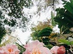 -大妙火锅·非物质文化遗产(东湖公园店)