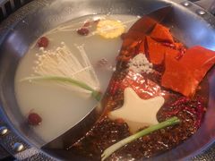 -辣伍鲜毛肚老火锅(元一店)