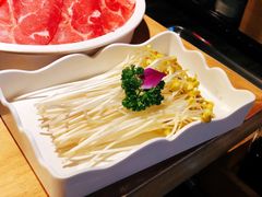 -老版火锅(半坡店)