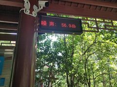 -重庆彩云湖湿地公园