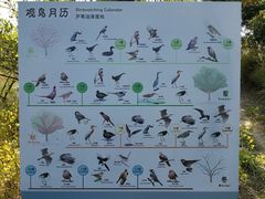 -同里国家湿地公园