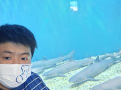 -华夏文旅海洋公园