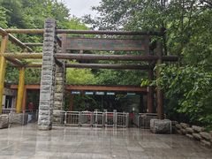 -牛背梁国家森林公园