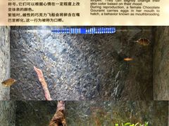 -上海海洋水族馆