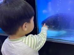 -全乐鱼馆·淳牌有机鱼直营店