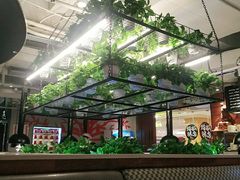 -猫爪爪原切自助烤肉(观音桥阳光世纪店)