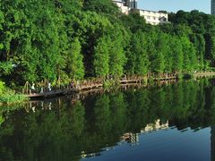 -重庆彩云湖湿地公园