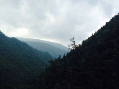 iphone_upload_pic-凤凰山国家森林公园