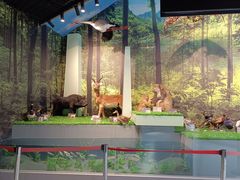 -房山世界地质公园博物馆