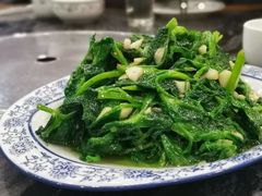 豌豆尖-江湖黑大兔(杨家坪店)