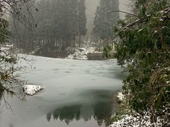 -龙苍沟森林公园