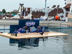 -秦皇岛乐岛海洋王国