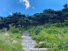 -朱雀国家森林公园