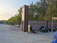 -广东惠东海龟国家级自然保护区