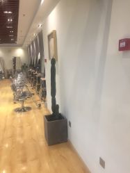 -涩谷· Hair Salon