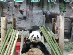 -栾川竹海野生动物园