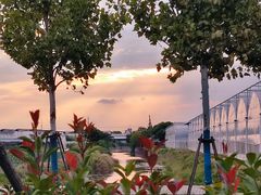 -上海野生动物园