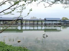 -渤公岛生态公园