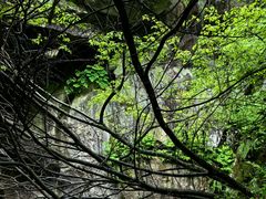 -秦岭终南山世界地质公园翠华山景区