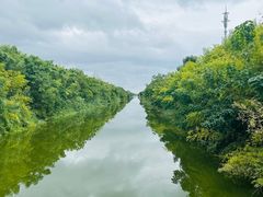 -黄海国家森林公园