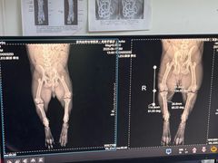 -谐和益家动物医院·免疫绝育·血液透析·宠保定点医院(高新伊藤分院)